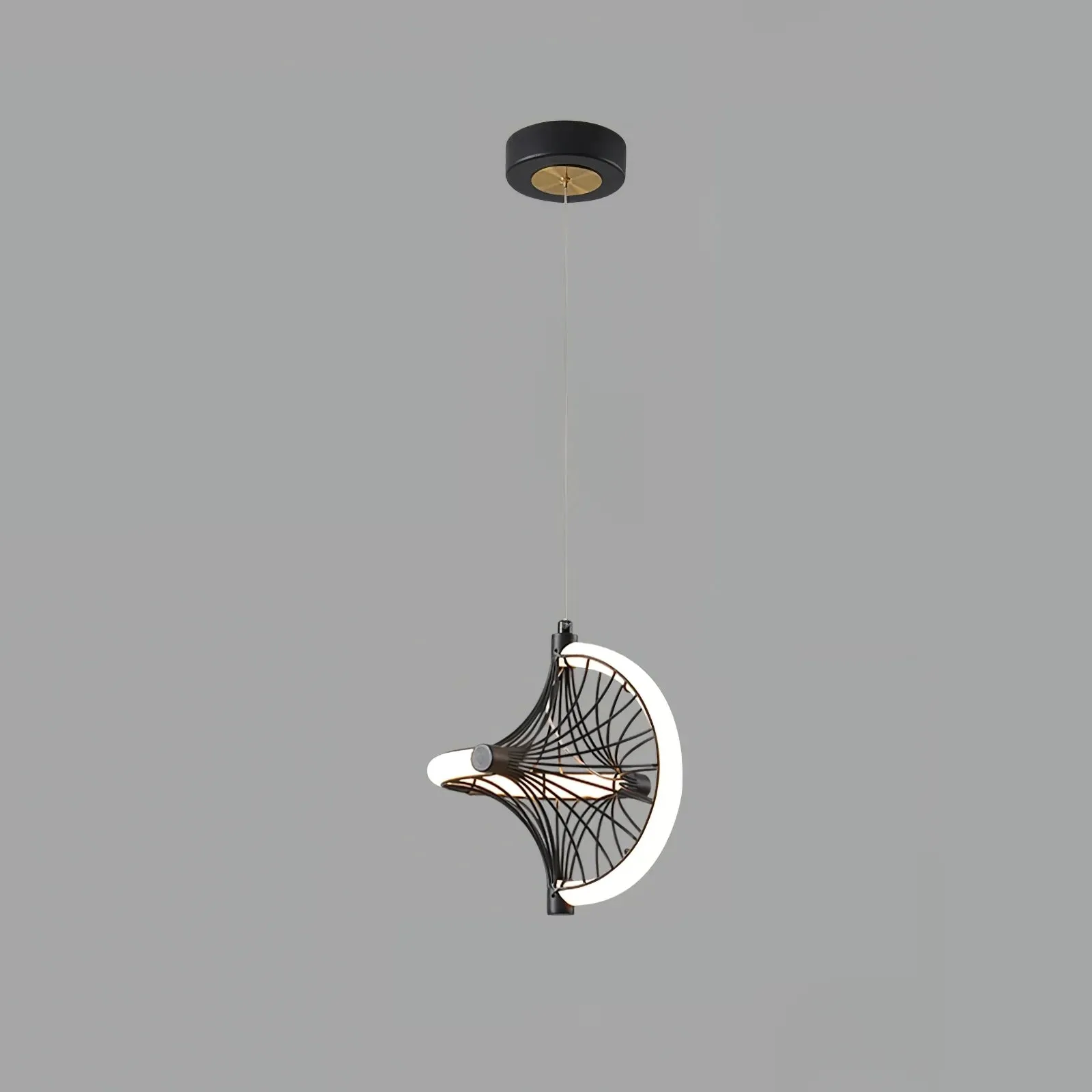Fan-shaped Pendant Light