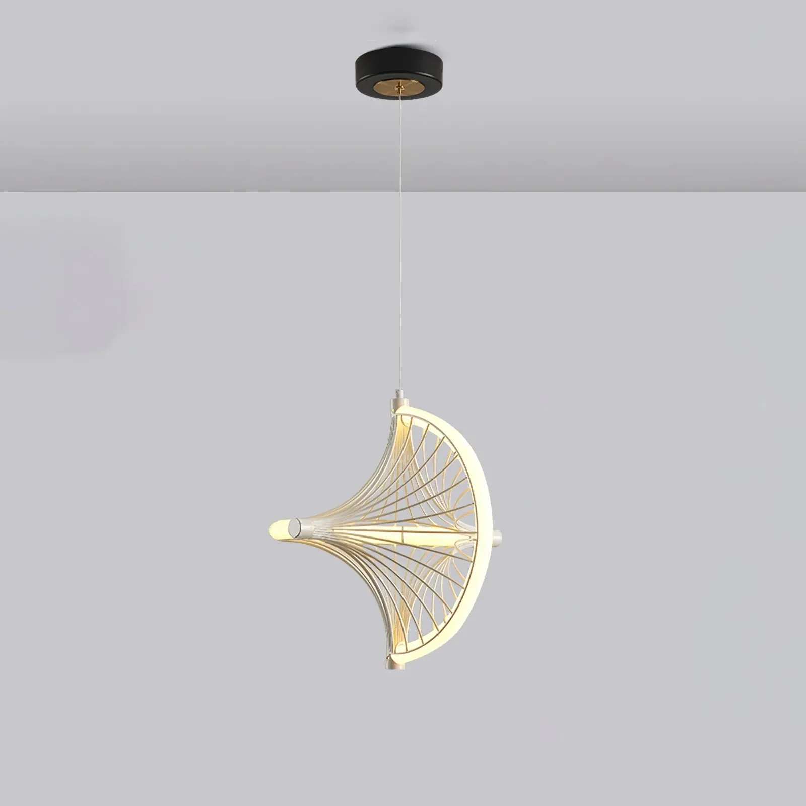 Fan-shaped Pendant Light