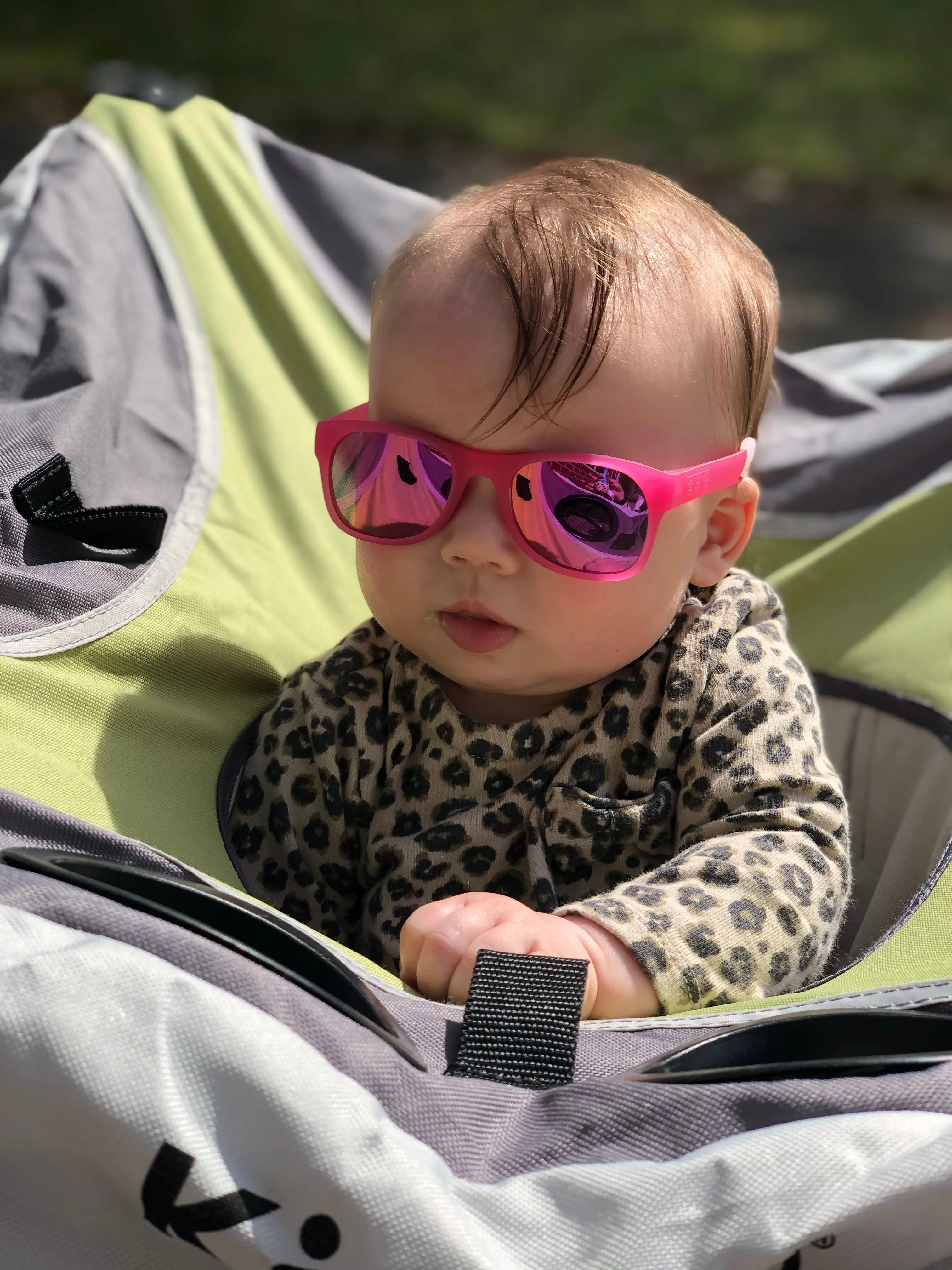 Kelly Shades | Baby
