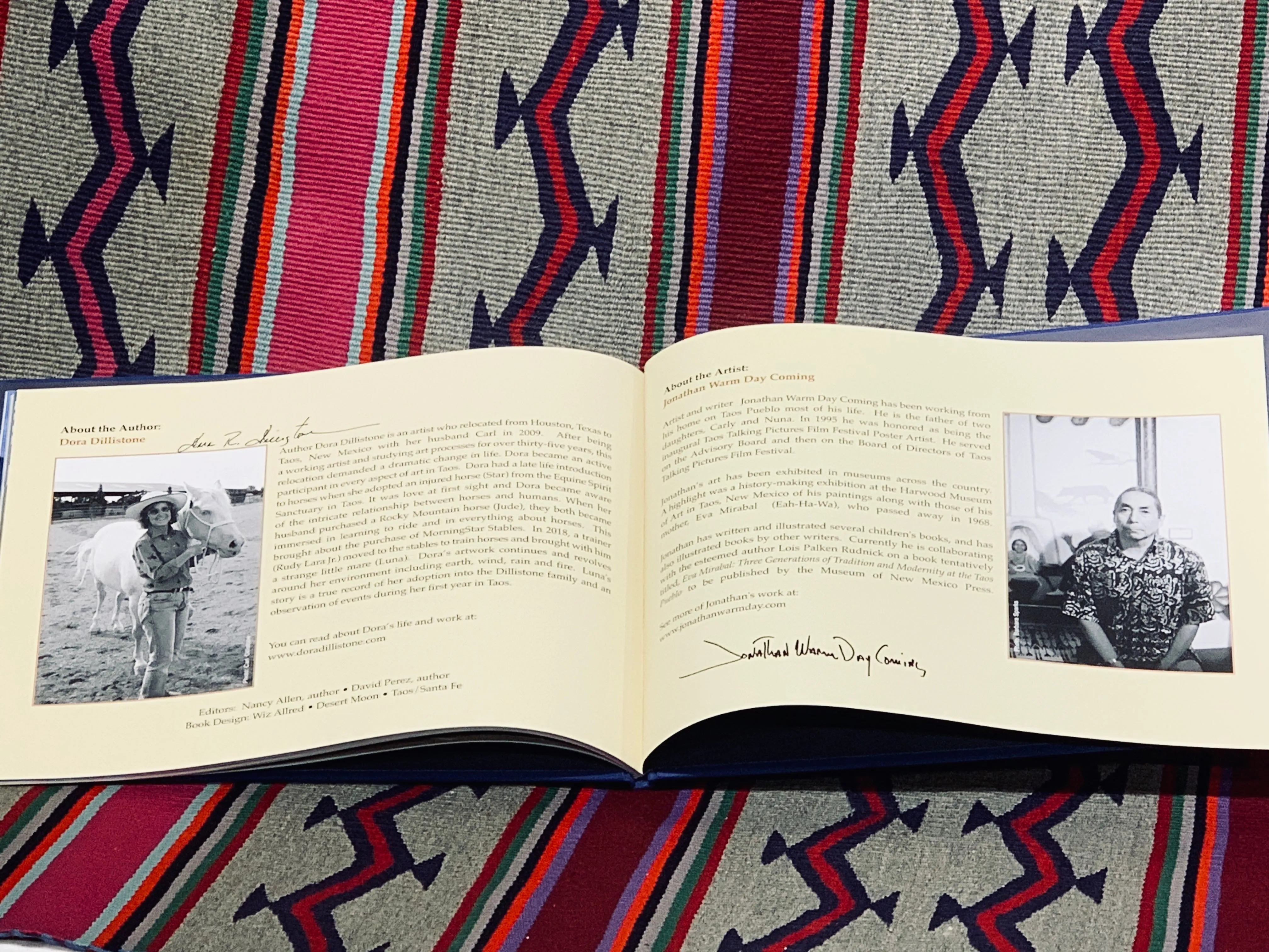 Luna, The Mare with the Sky Blue Eyes by Dora Dillistone