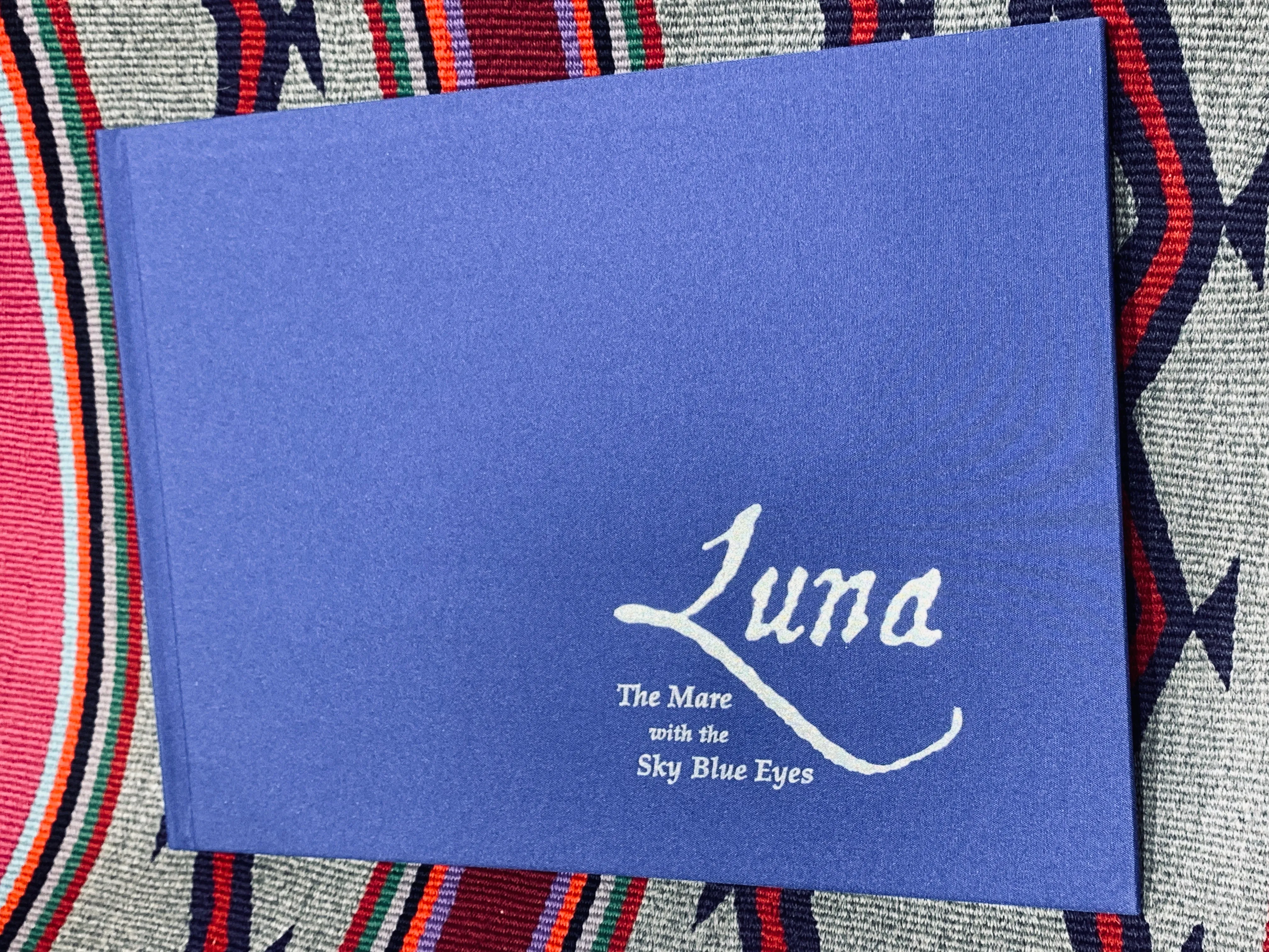 Luna, The Mare with the Sky Blue Eyes by Dora Dillistone