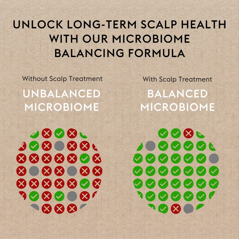 Oily Hair & Scalp Treatment Kit