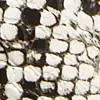 Philomena Snakeskin Open Back Sandals