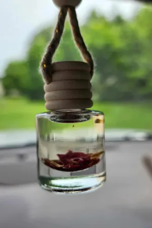 Pumpkin Pecan Car Diffuser