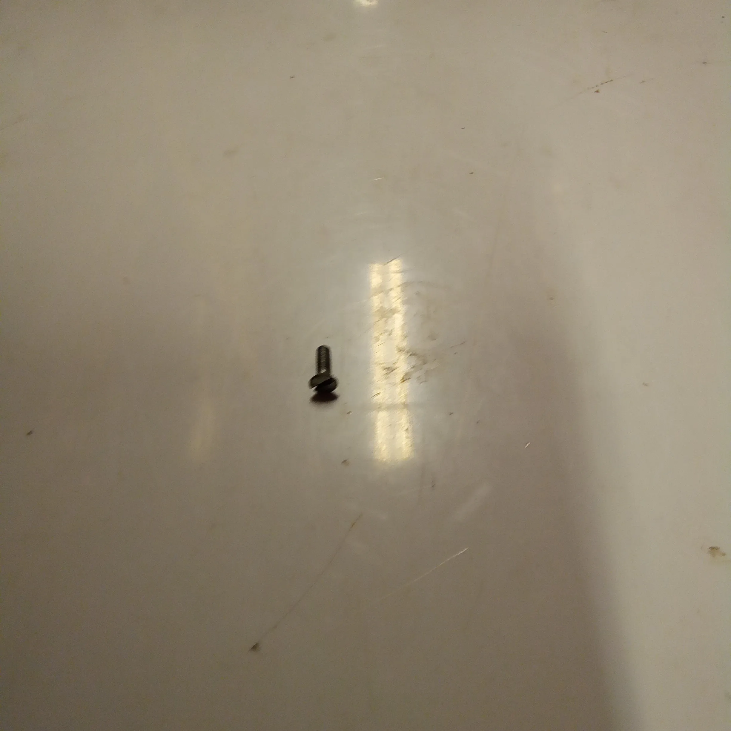 SCREW (#17740323)