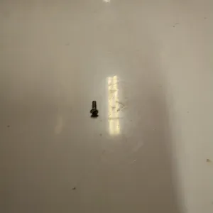 SCREW (#17740323)
