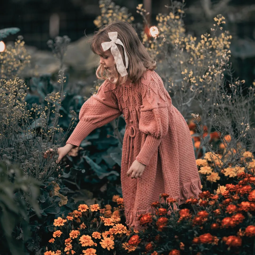 Shirley Dress